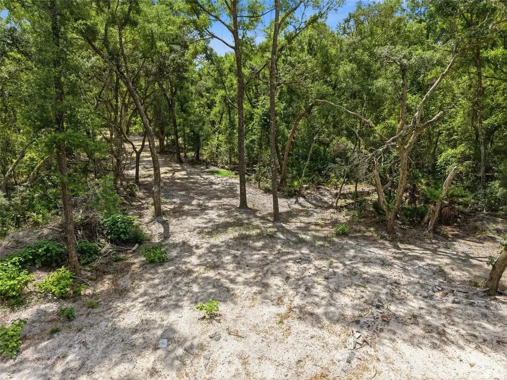 Lot 4 NW 78th Avenue Chiefland FL 32626