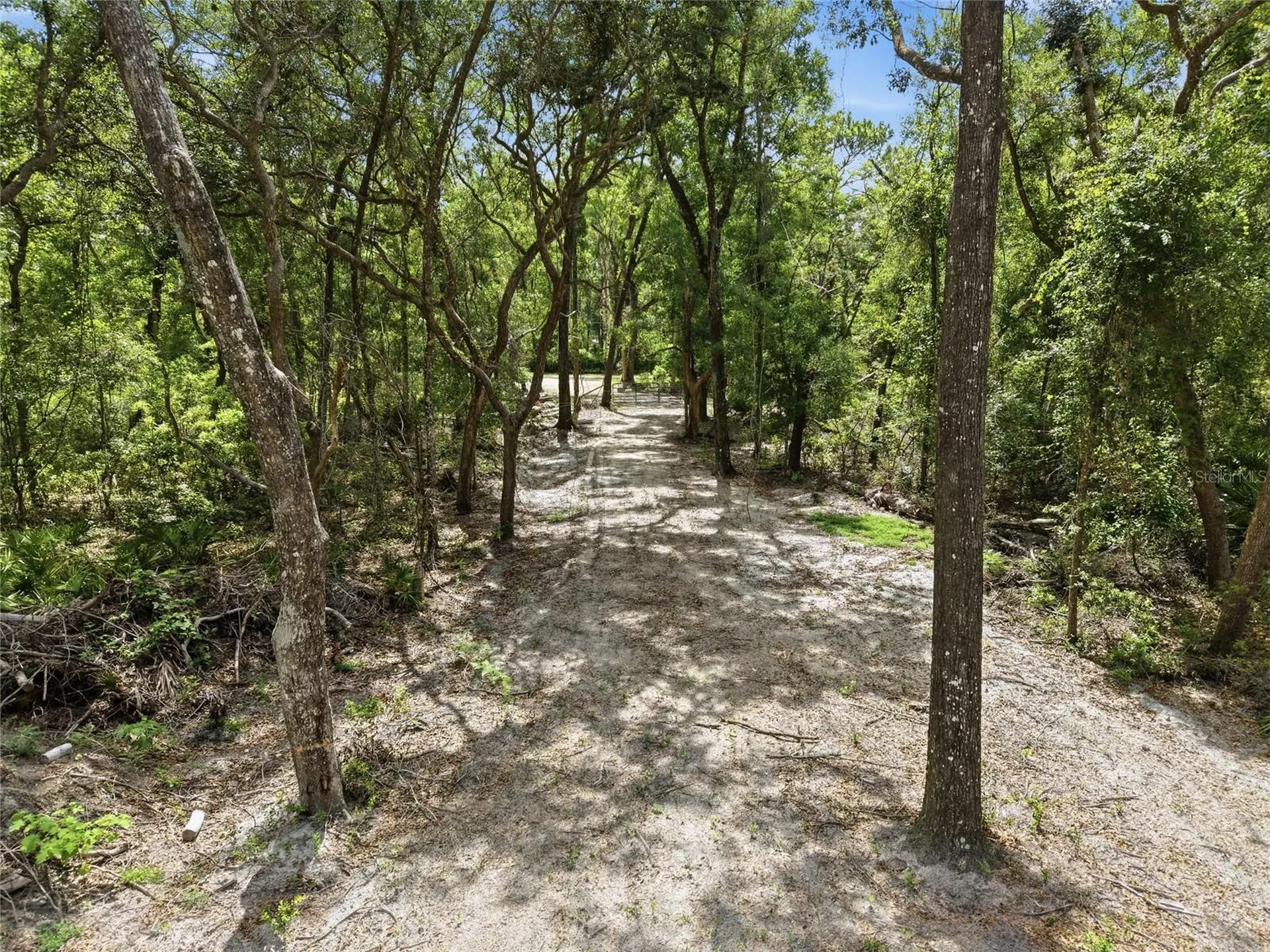 Lot 4 NW 78th Avenue Chiefland FL 32626