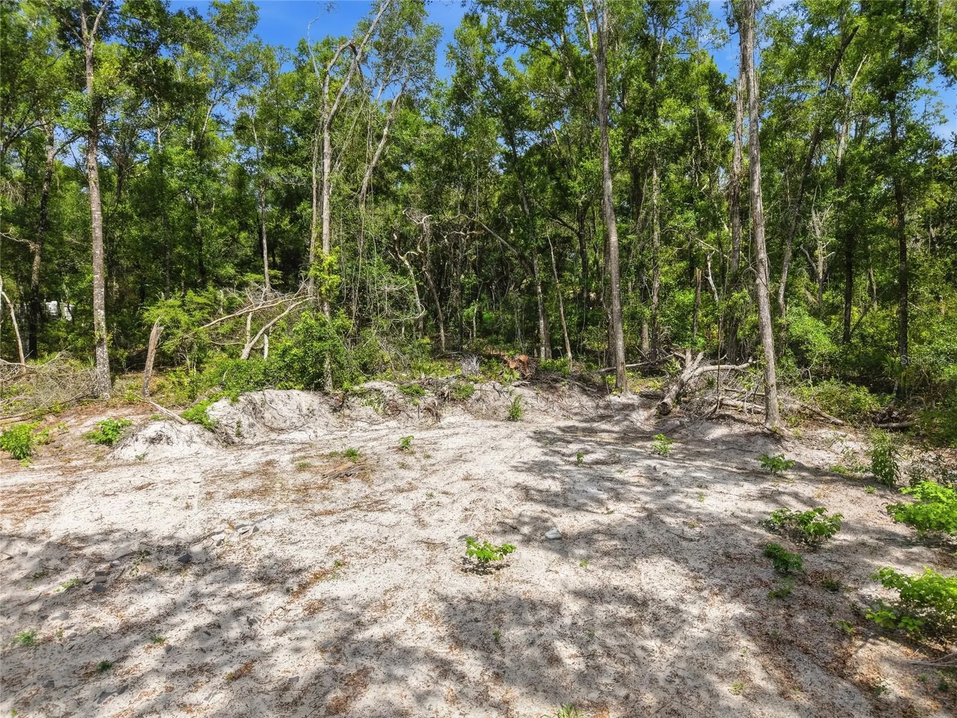 Lot 4 NW 78th Avenue Chiefland FL 32626