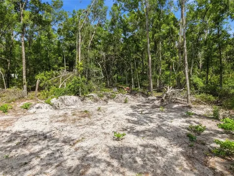 Lot 4 NW 78th Avenue Chiefland FL 32626