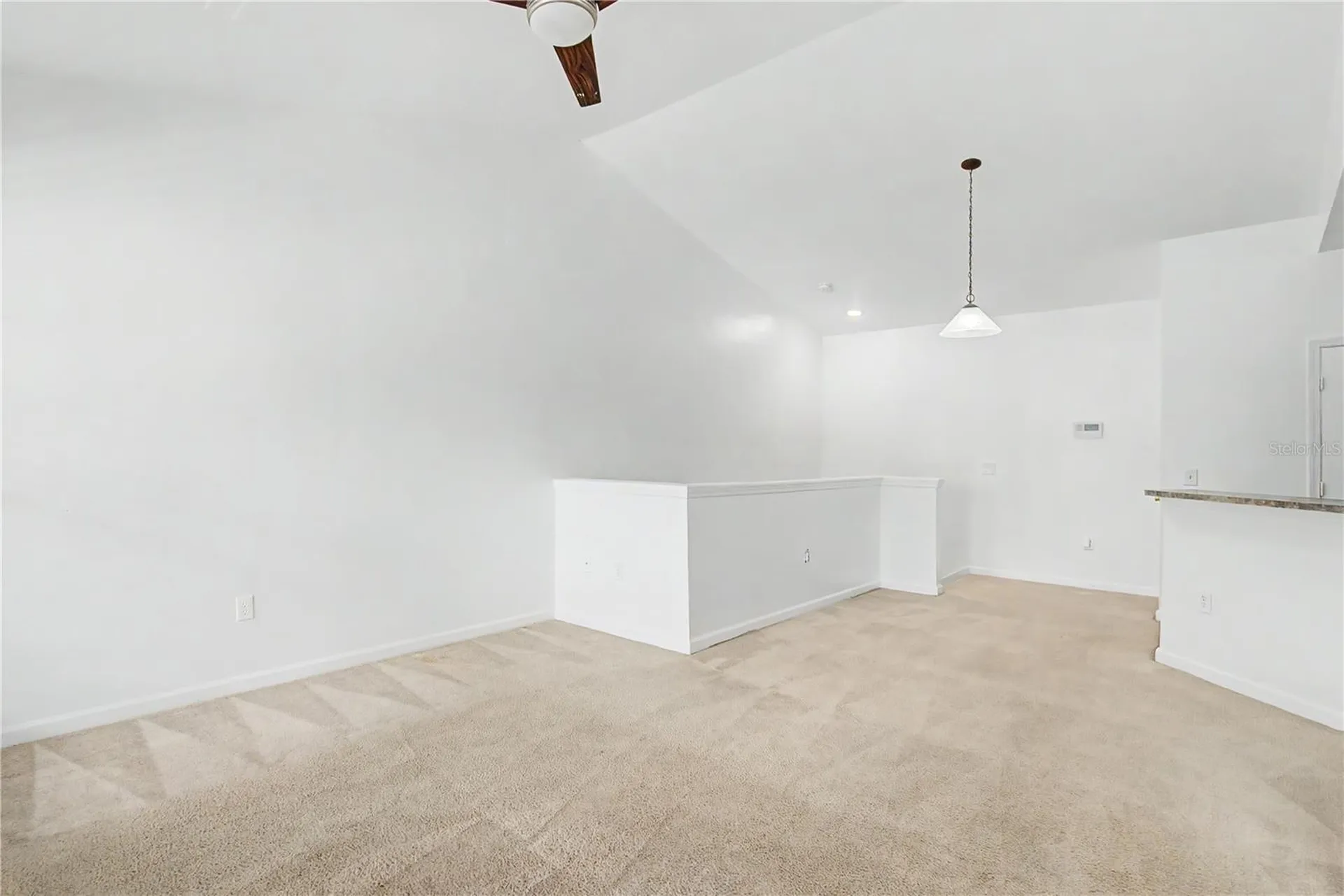 18111 Villa Creek Drive Tampa FL 33647