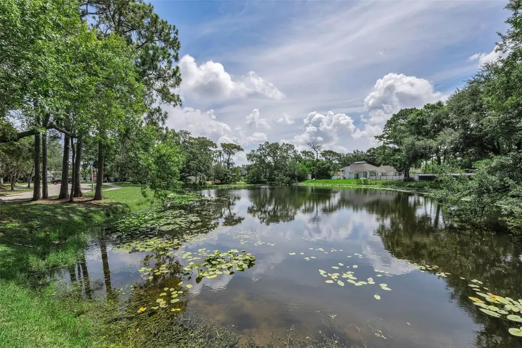 10497 Longwood Drive Seminole FL 33777