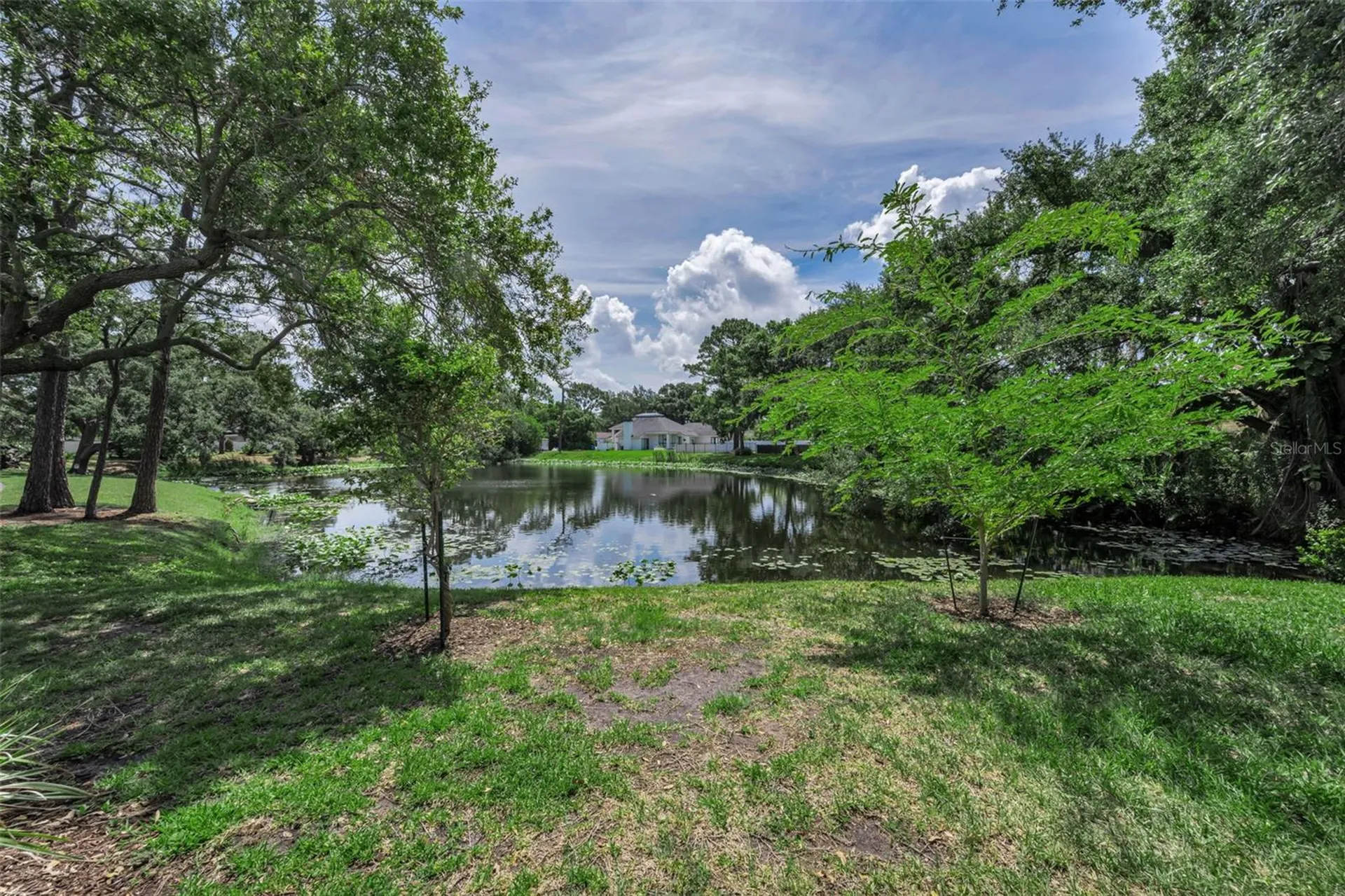10497 Longwood Drive Seminole FL 33777