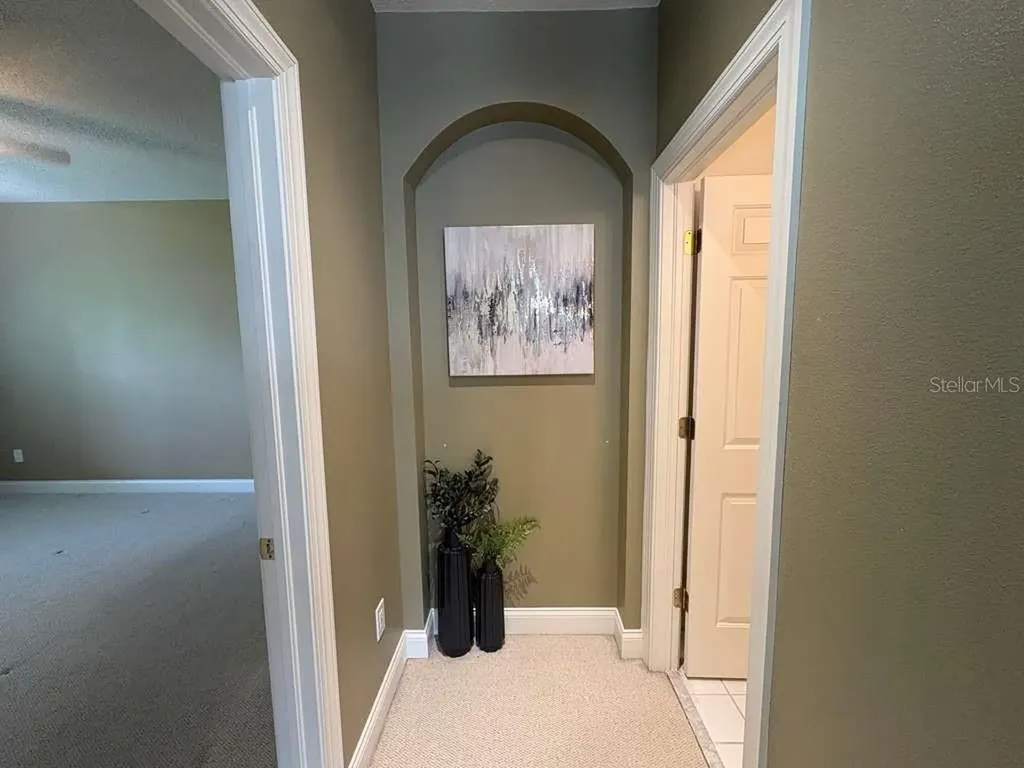 3511 Heards Ferry Drive Tampa FL 33618