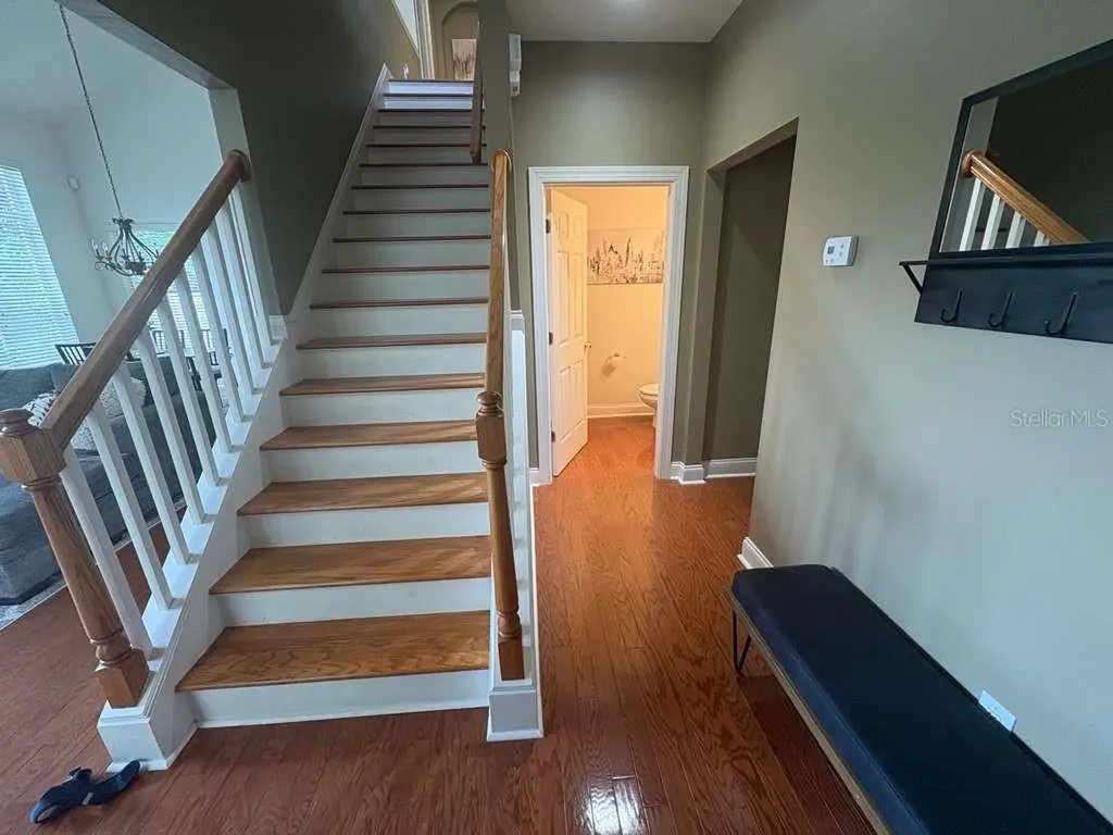 3511 Heards Ferry Drive Tampa FL 33618