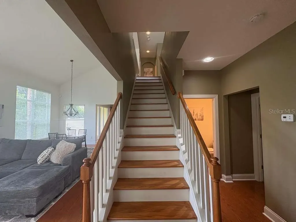 3511 Heards Ferry Drive Tampa FL 33618