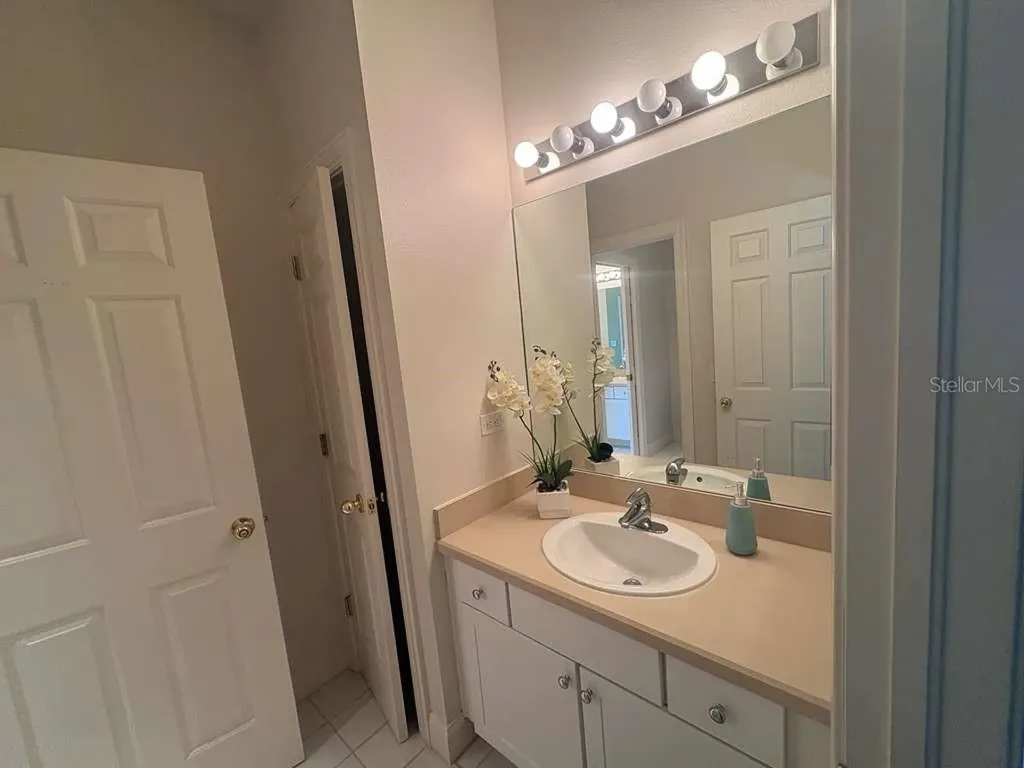 3511 Heards Ferry Drive Tampa FL 33618