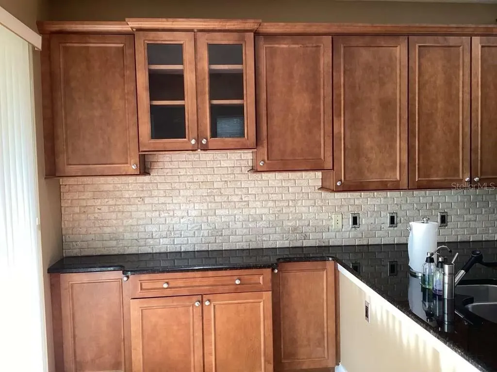 3511 Heards Ferry Drive Tampa FL 33618