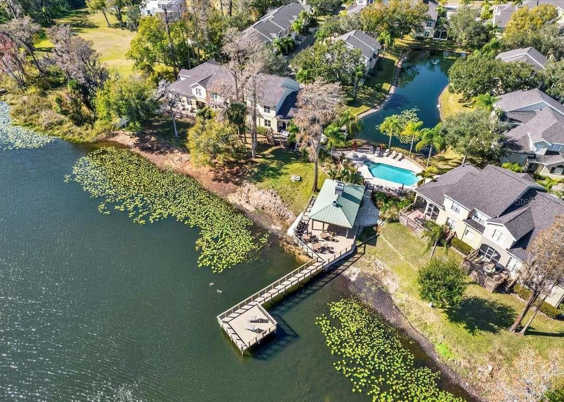 3511 Heards Ferry Drive Tampa FL 33618