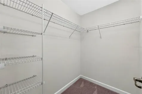 17358 Old Tobacco Road Lutz FL 33558