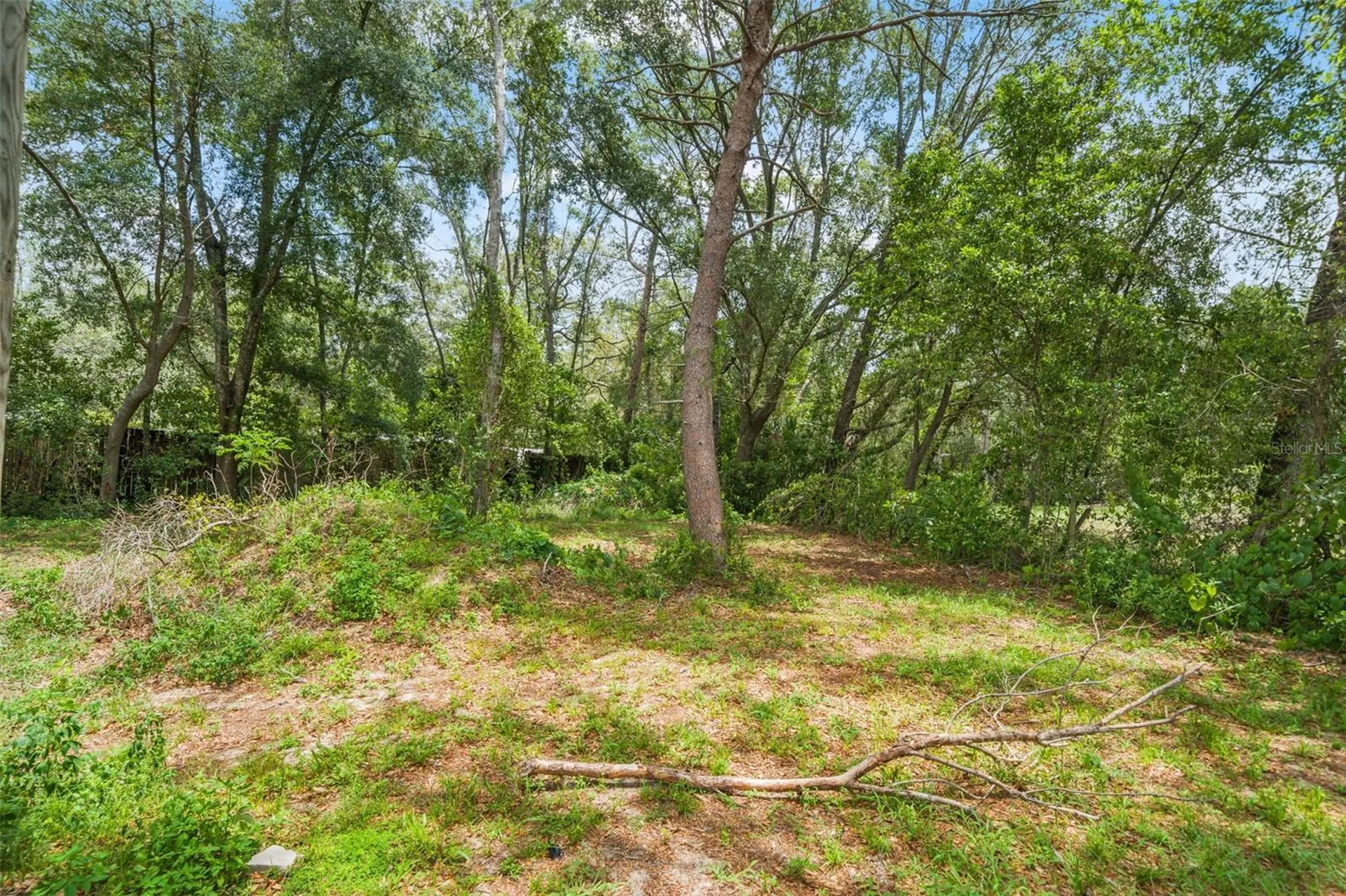 8343 Yellow Pine Avenue Brooksville FL 34613