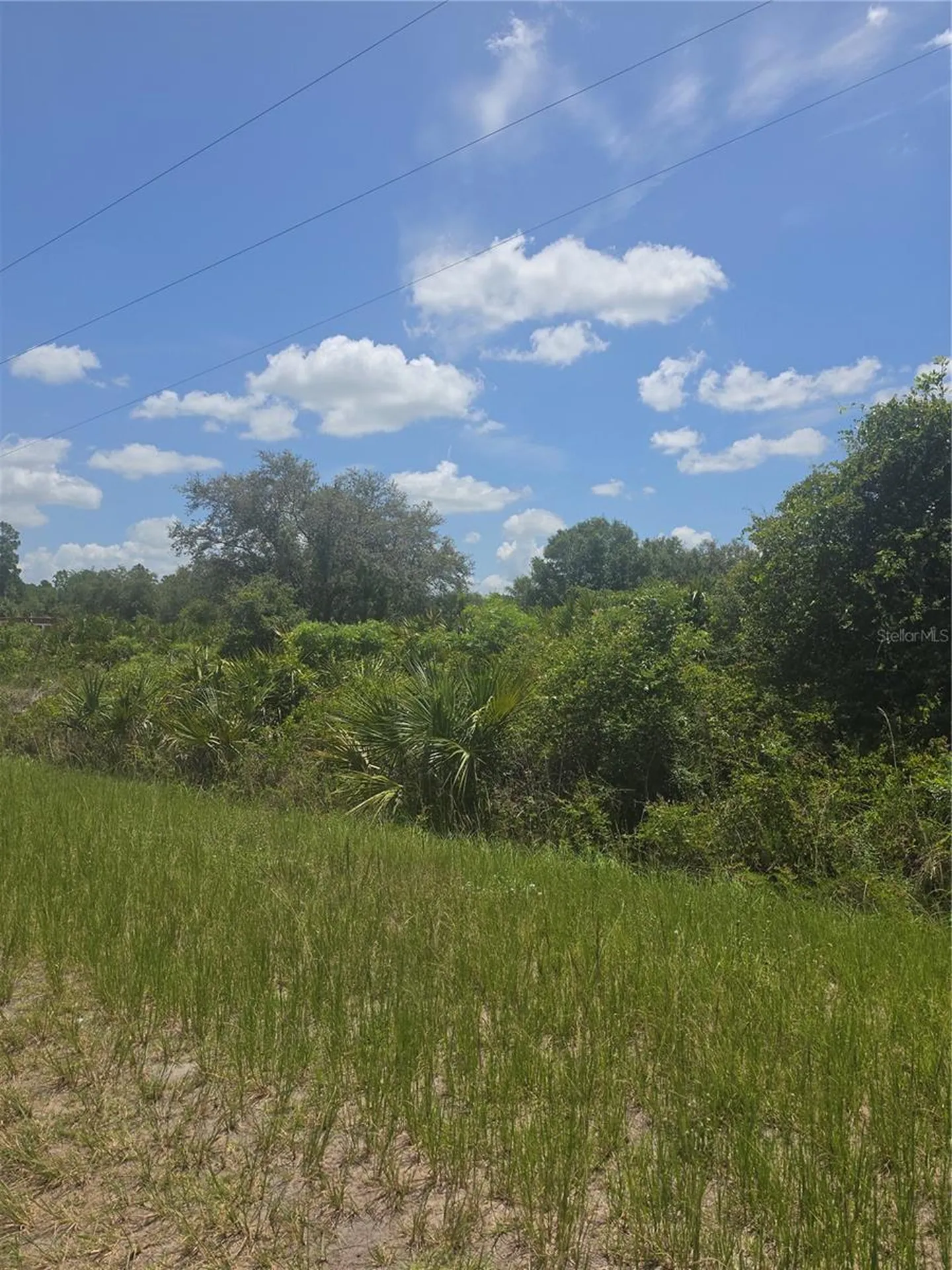 665 S Live Oak Street Clewiston FL 33440