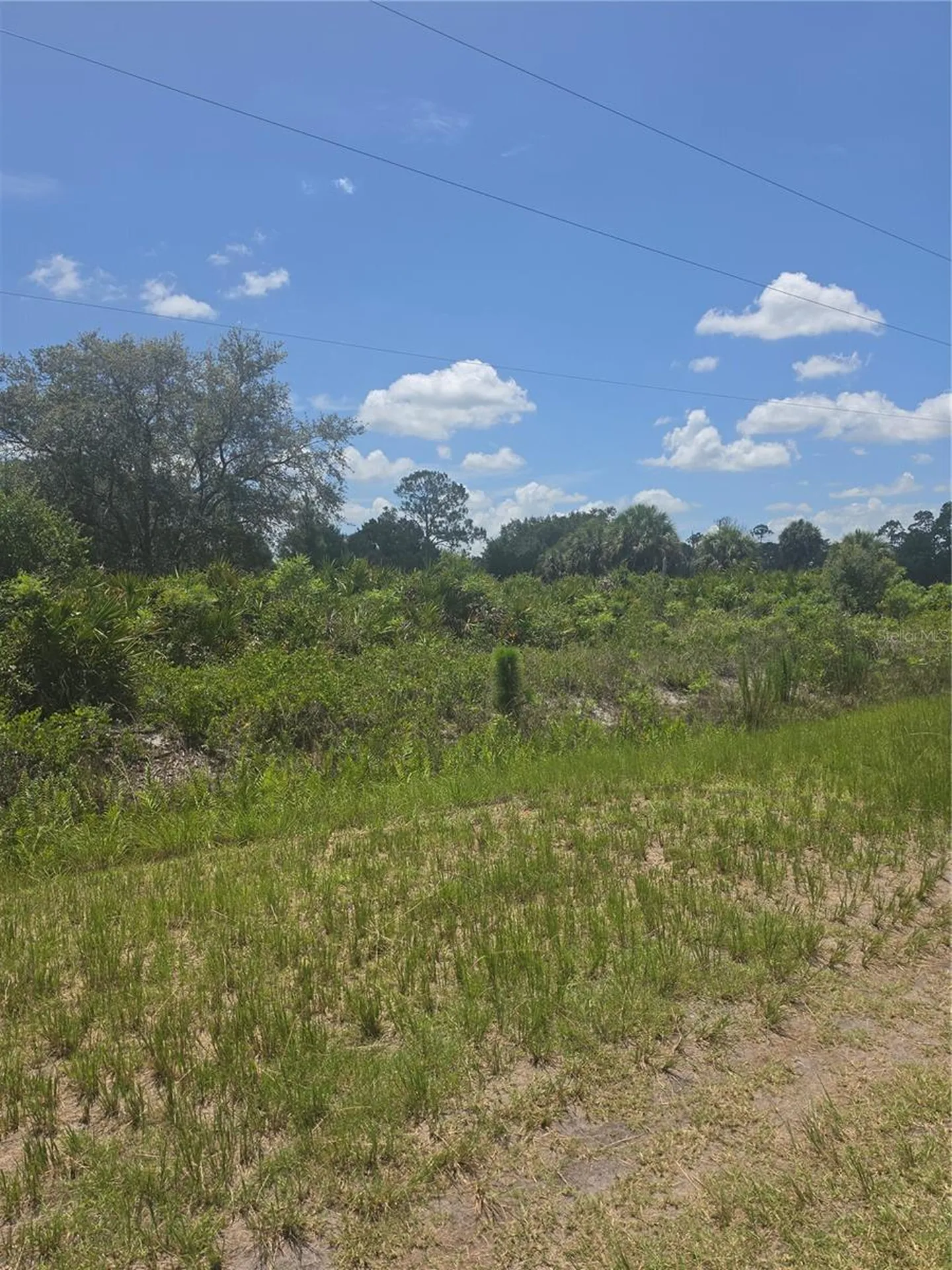 665 S Live Oak Street Clewiston FL 33440