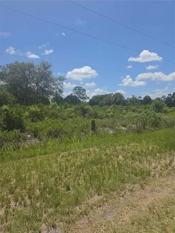 665 S Live Oak Street Clewiston FL 33440