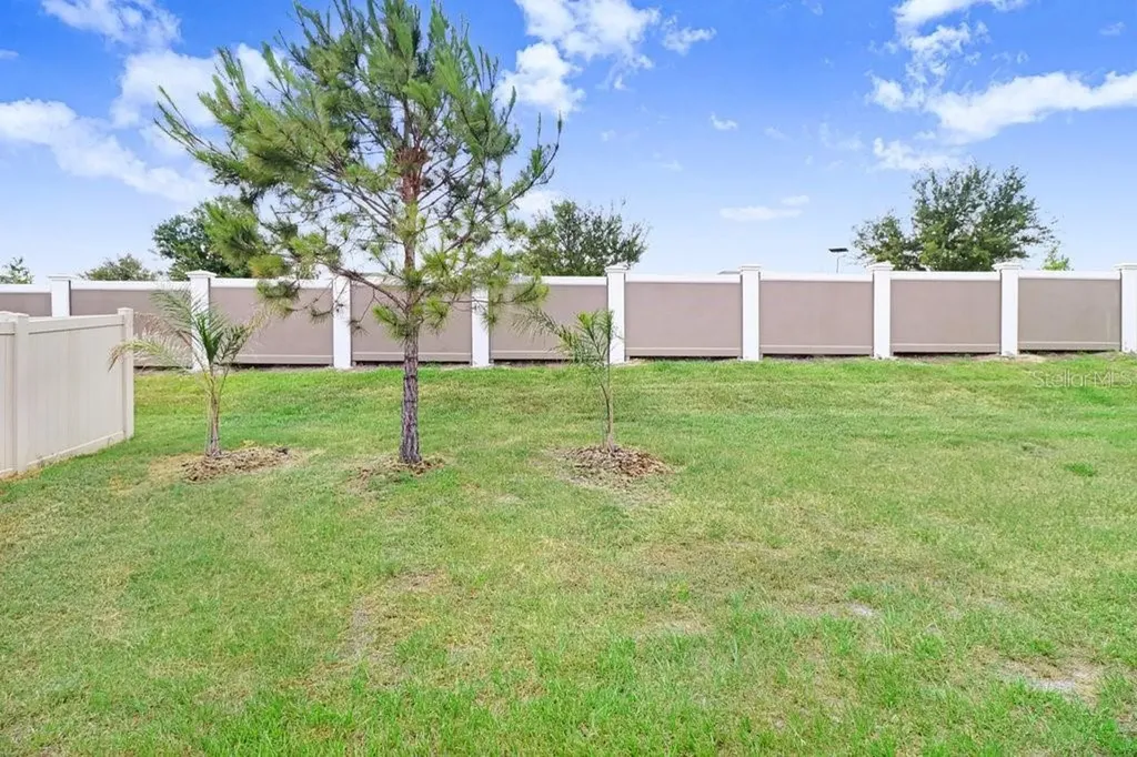 31426 Mango Fade Way San Antonio FL 33576