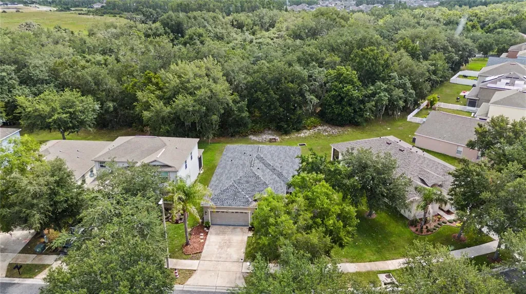 10634 Lucaya Drive Tampa FL 33647