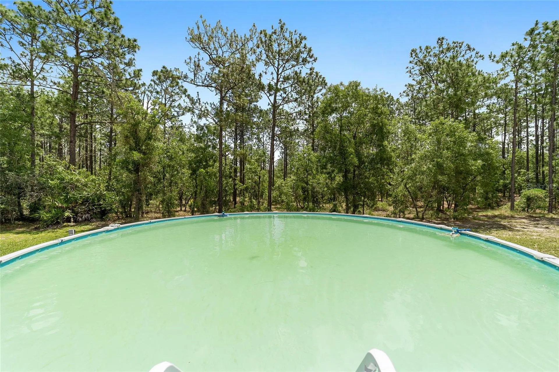7035 SW 136th Court Road Ocala FL 34481
