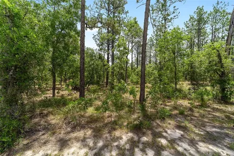 7035 SW 136th Court Road Ocala FL 34481