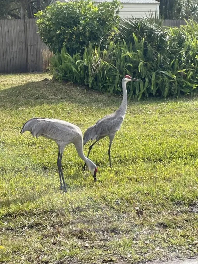 32 Fyfe Avenue Debary FL 32713