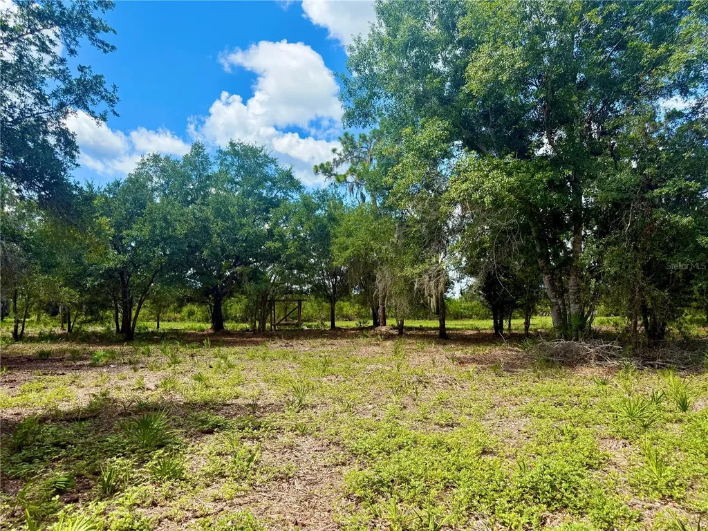 0000 Roberts Road Ona FL 33865