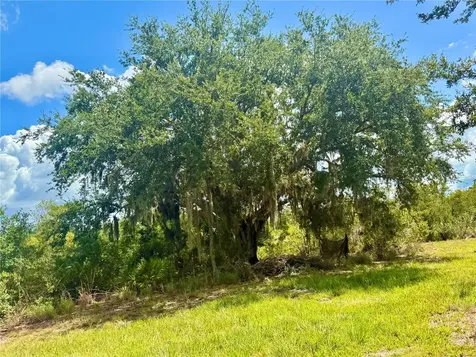 0000 Roberts Road Ona FL 33865