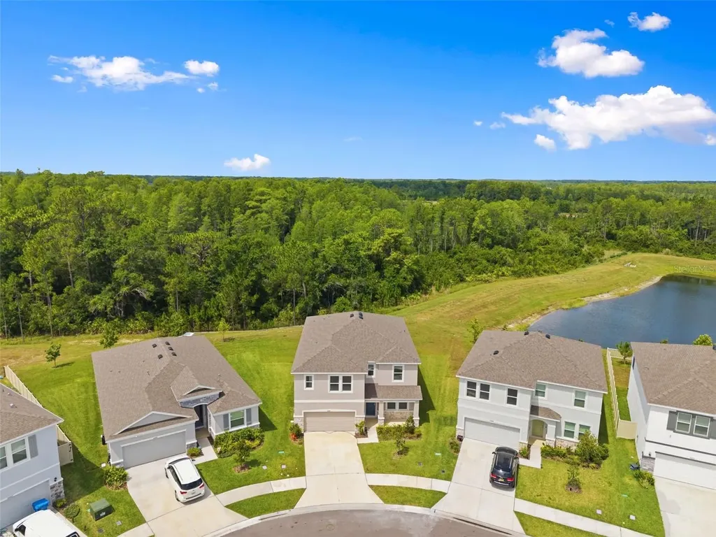 10497 Farm Hill Avenue Land O Lakes FL 34638