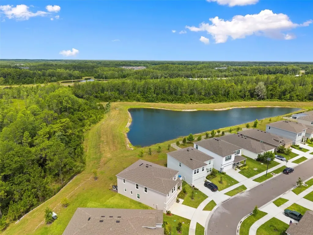 10497 Farm Hill Avenue Land O Lakes FL 34638