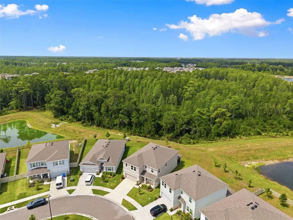 10497 Farm Hill Avenue Land O Lakes FL 34638