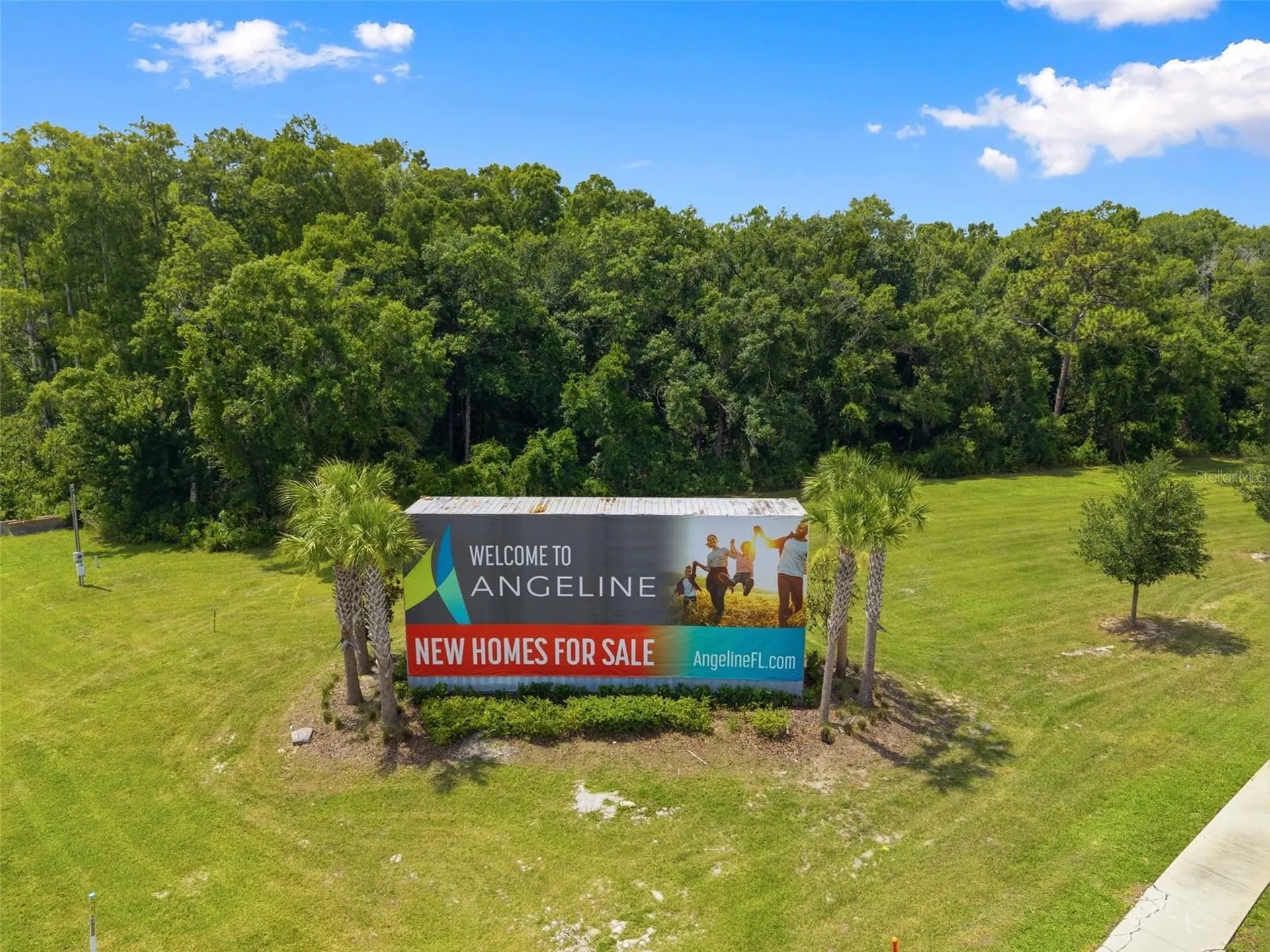 10497 Farm Hill Avenue Land O Lakes FL 34638