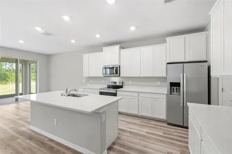 10497 Farm Hill Avenue Land O Lakes FL 34638