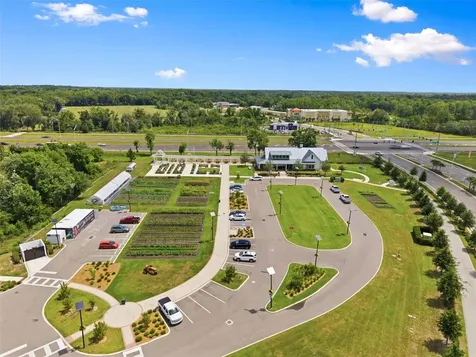 10497 Farm Hill Avenue Land O Lakes FL 34638