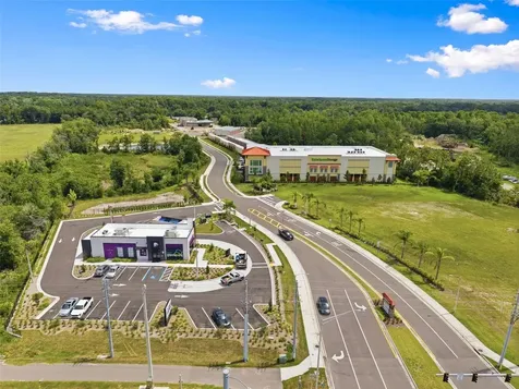 10497 Farm Hill Avenue Land O Lakes FL 34638