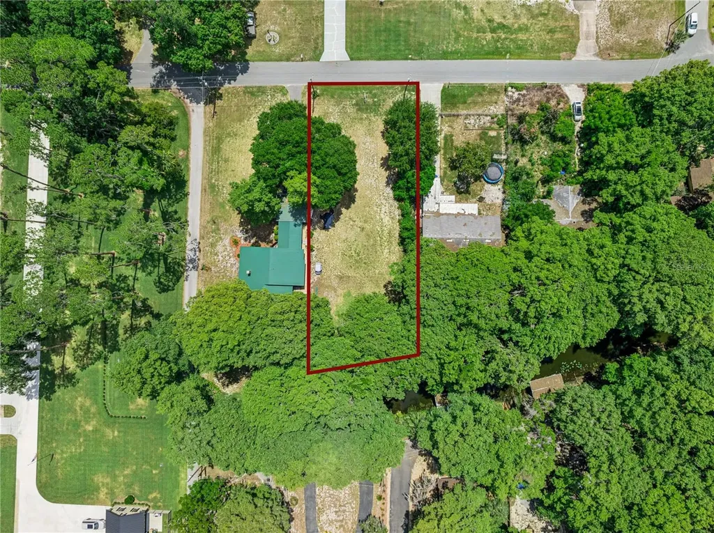 Cove Road Tavares FL 32778