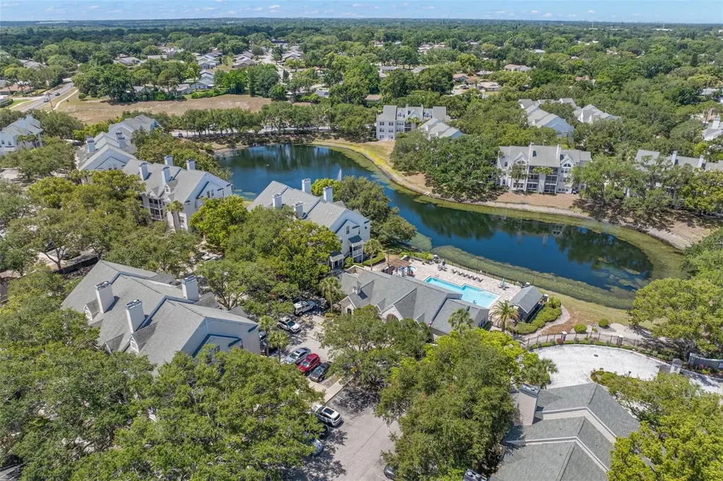 3310 Haviland Court Palm Harbor FL 34684
