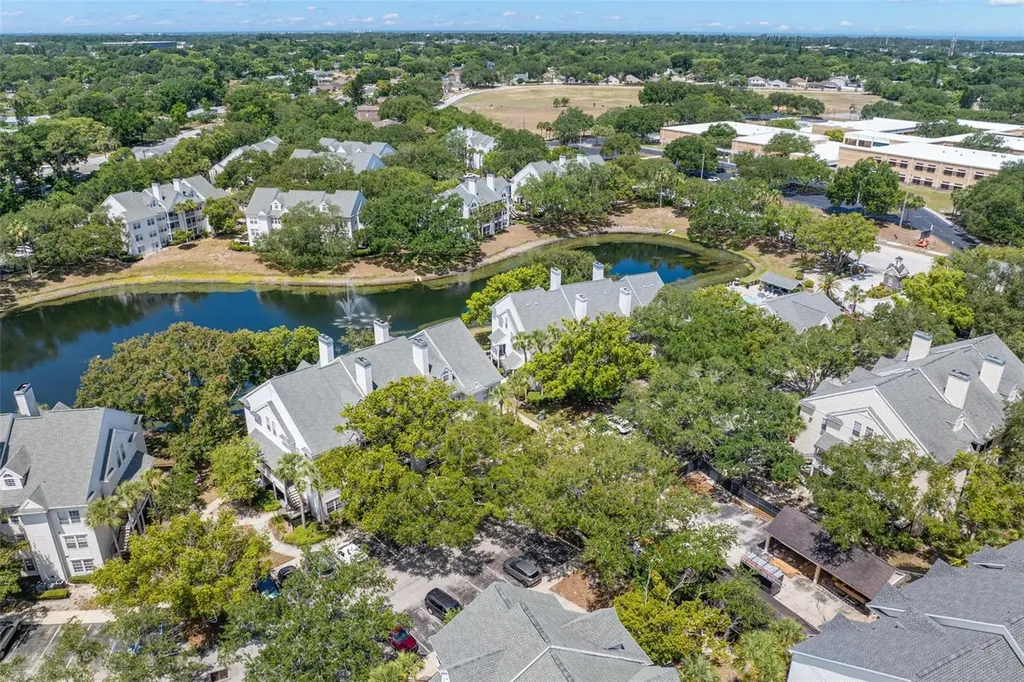 3310 Haviland Court Palm Harbor FL 34684