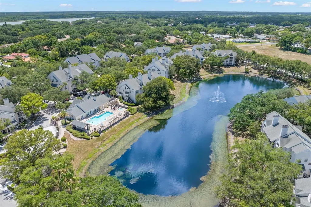 3310 Haviland Court Palm Harbor FL 34684