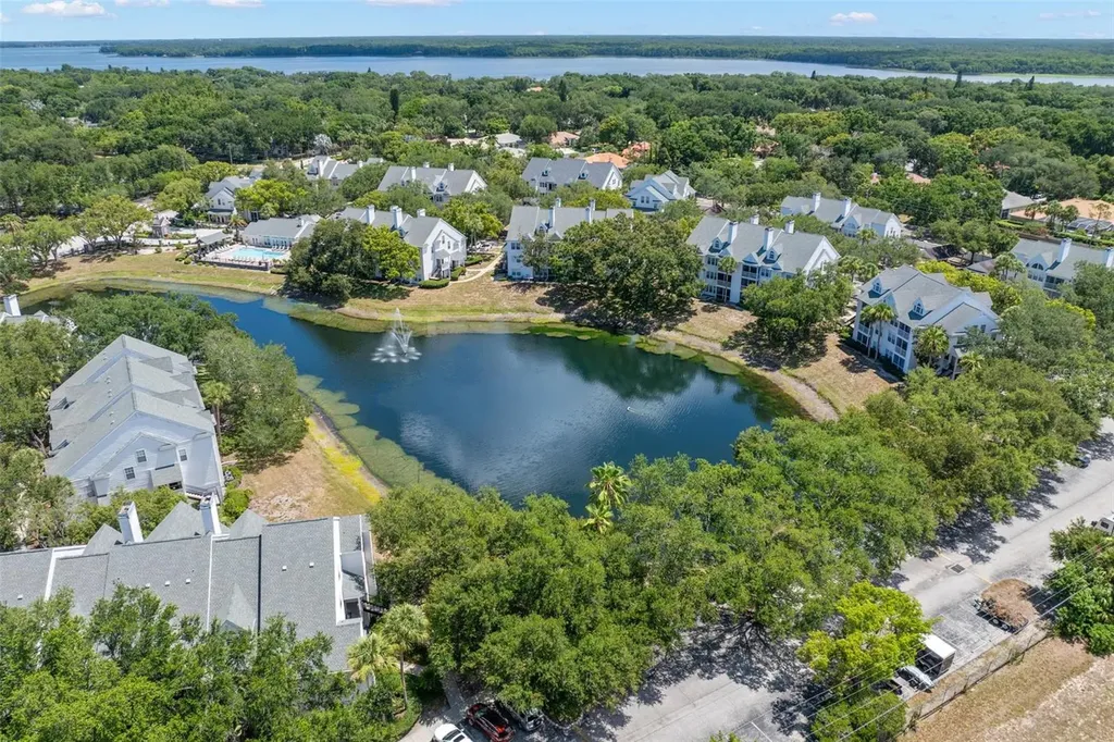 3310 Haviland Court Palm Harbor FL 34684