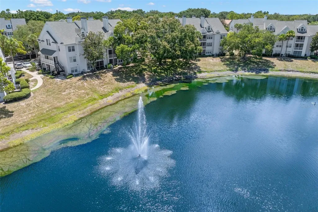 3310 Haviland Court Palm Harbor FL 34684