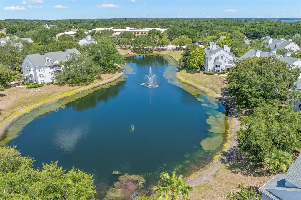 3310 Haviland Court Palm Harbor FL 34684