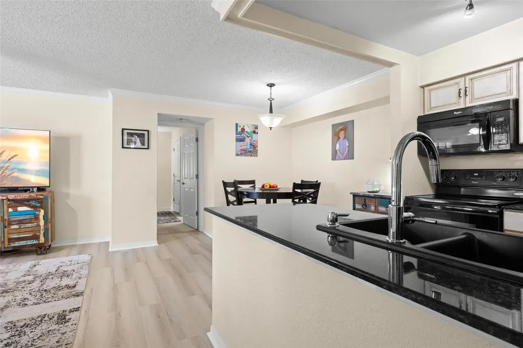 3310 Haviland Court Palm Harbor FL 34684