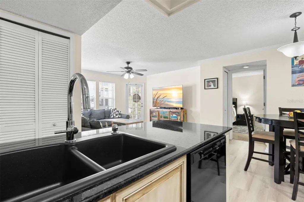 3310 Haviland Court Palm Harbor FL 34684