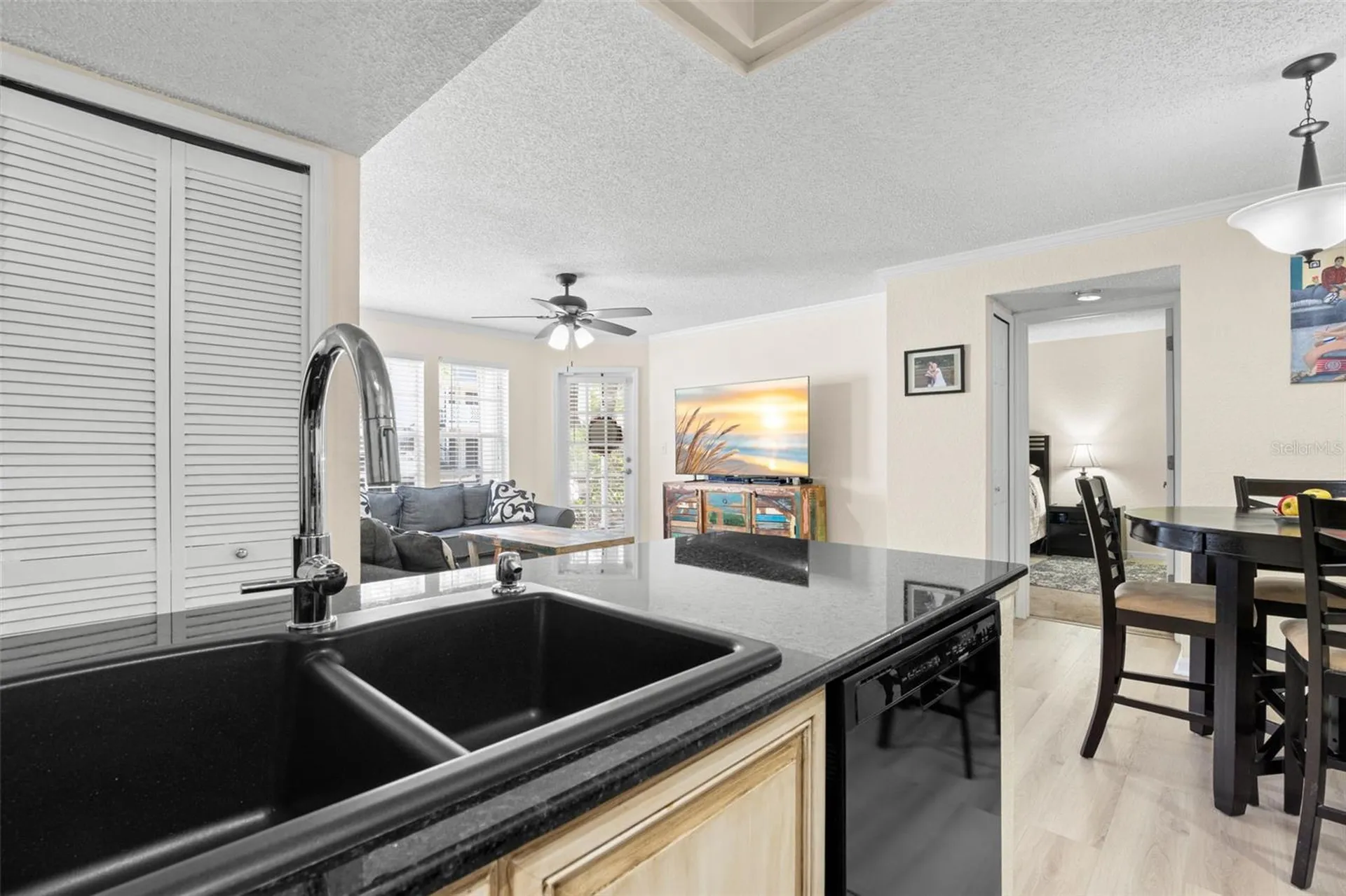 3310 Haviland Court Palm Harbor FL 34684