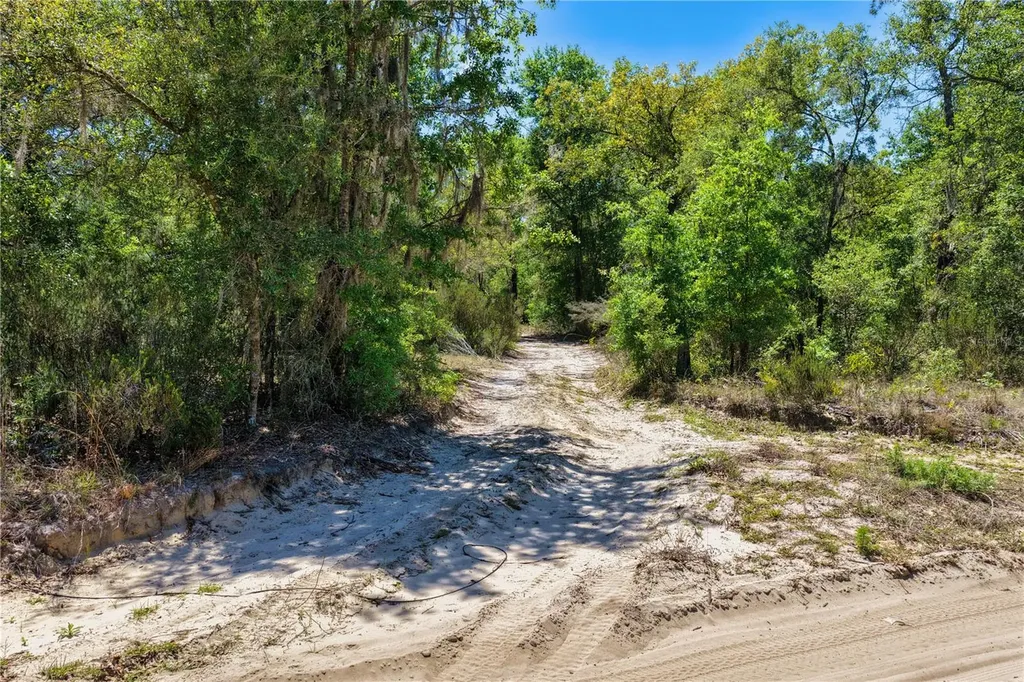 NE 125th Street Bronson FL 32621