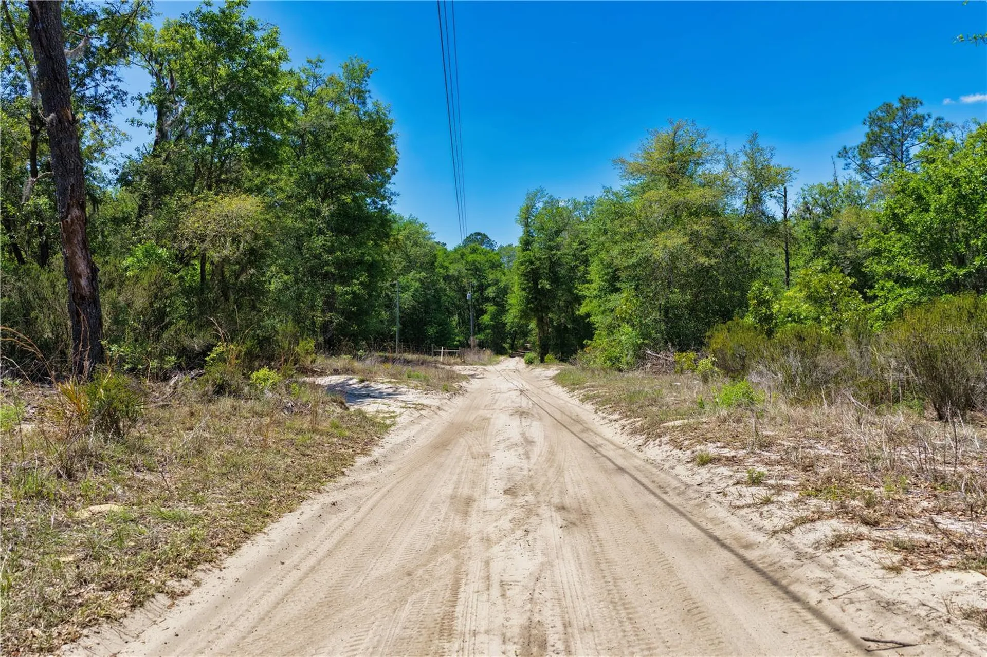 NE 125th Street Bronson FL 32621