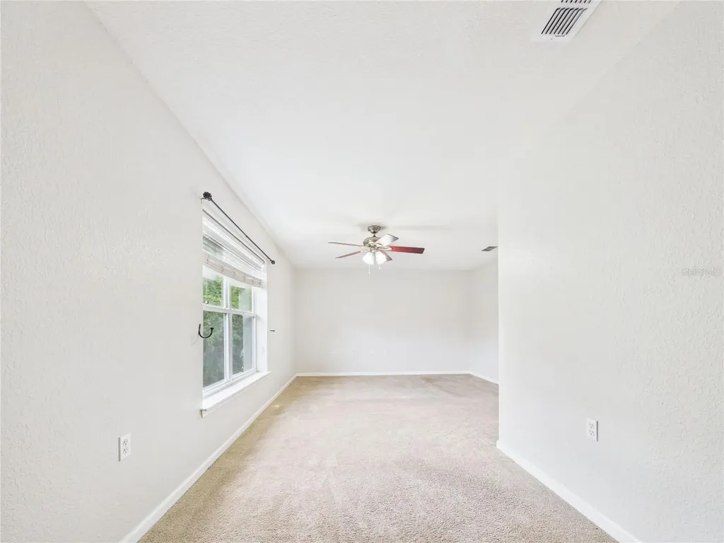 16310 Fairford Palms Court Tampa FL 33647
