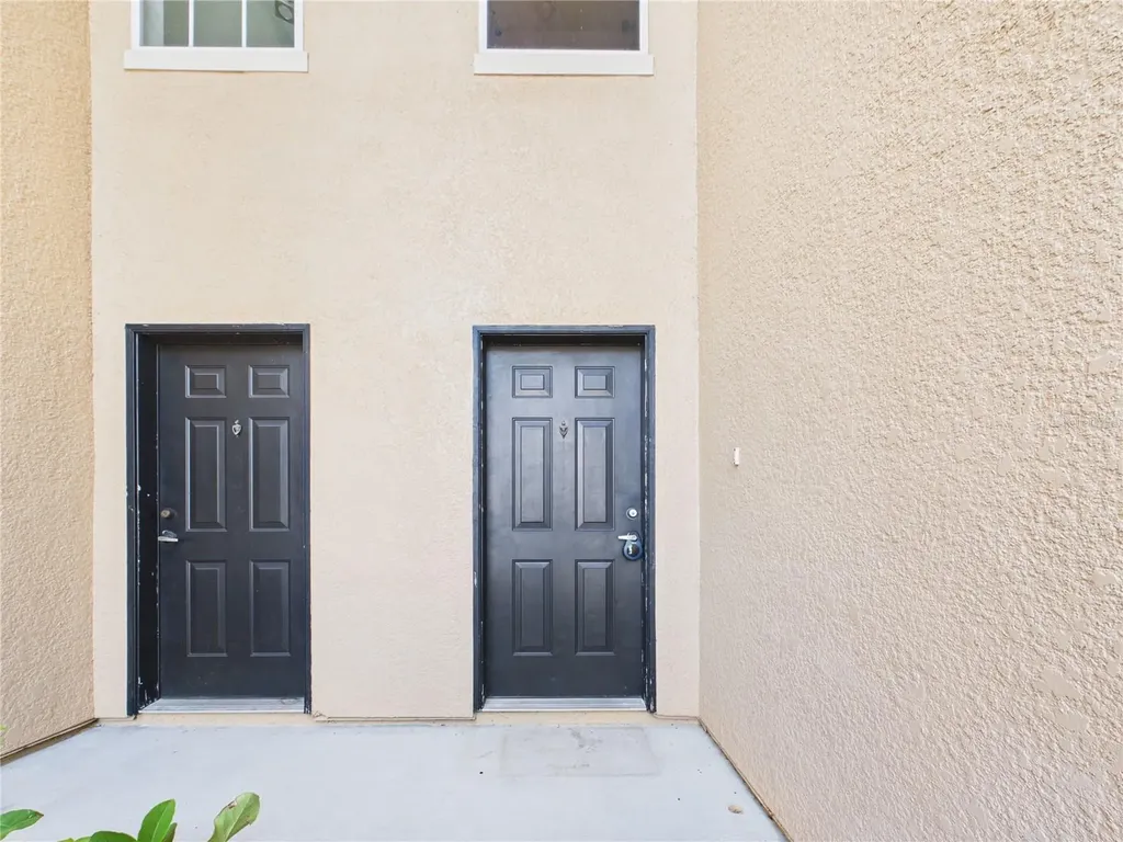 16310 Fairford Palms Court Tampa FL 33647