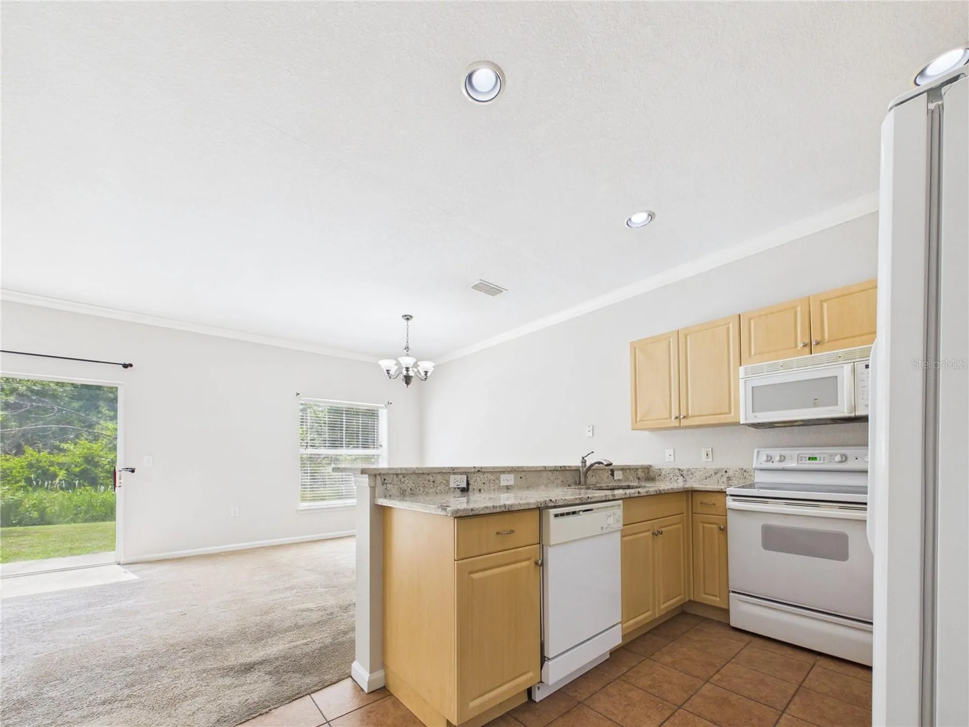 16310 Fairford Palms Court Tampa FL 33647