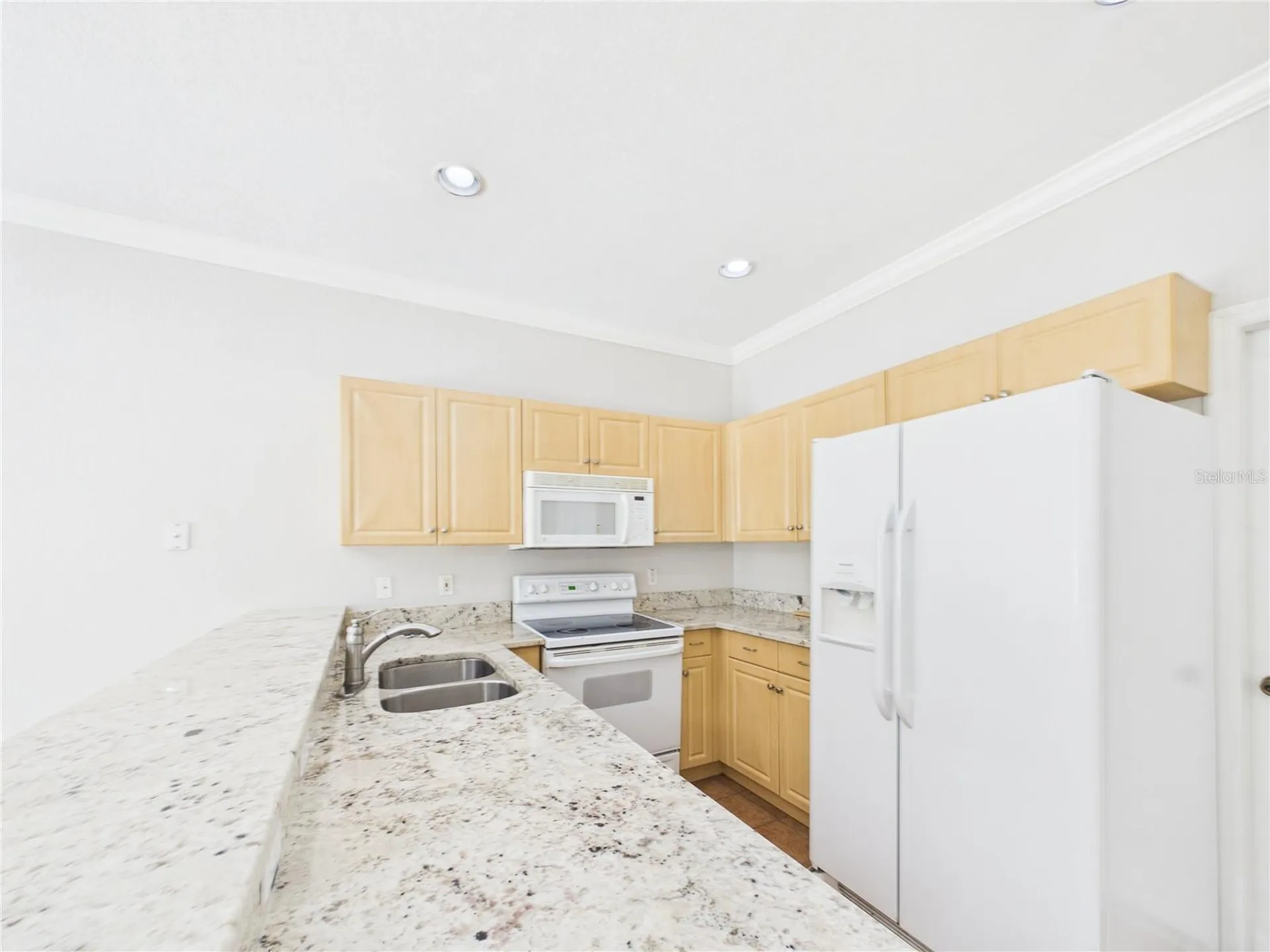 16310 Fairford Palms Court Tampa FL 33647