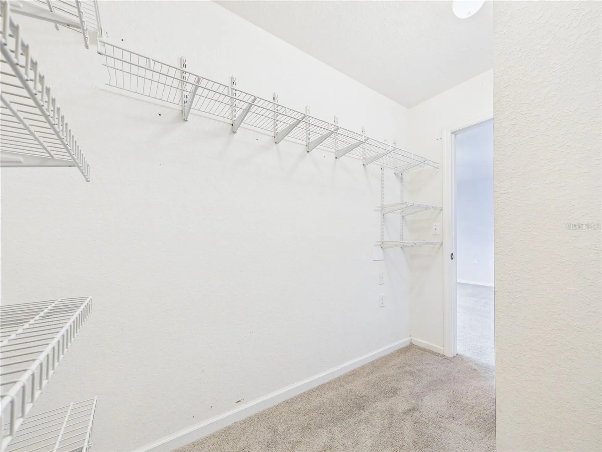 16310 Fairford Palms Court Tampa FL 33647