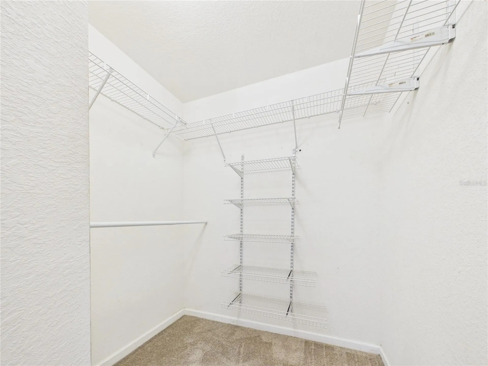16310 Fairford Palms Court Tampa FL 33647